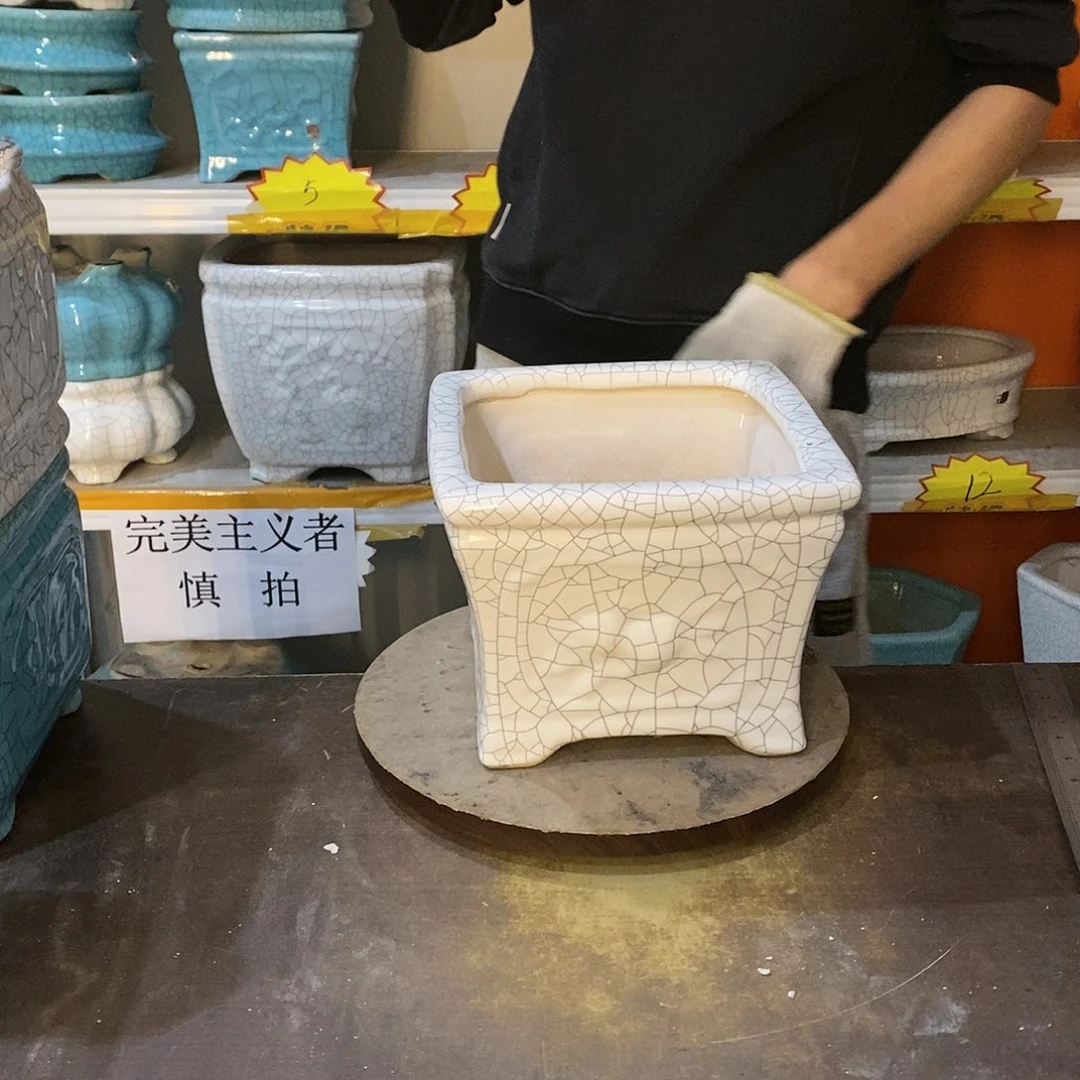 大*花盆花盆里的花都开