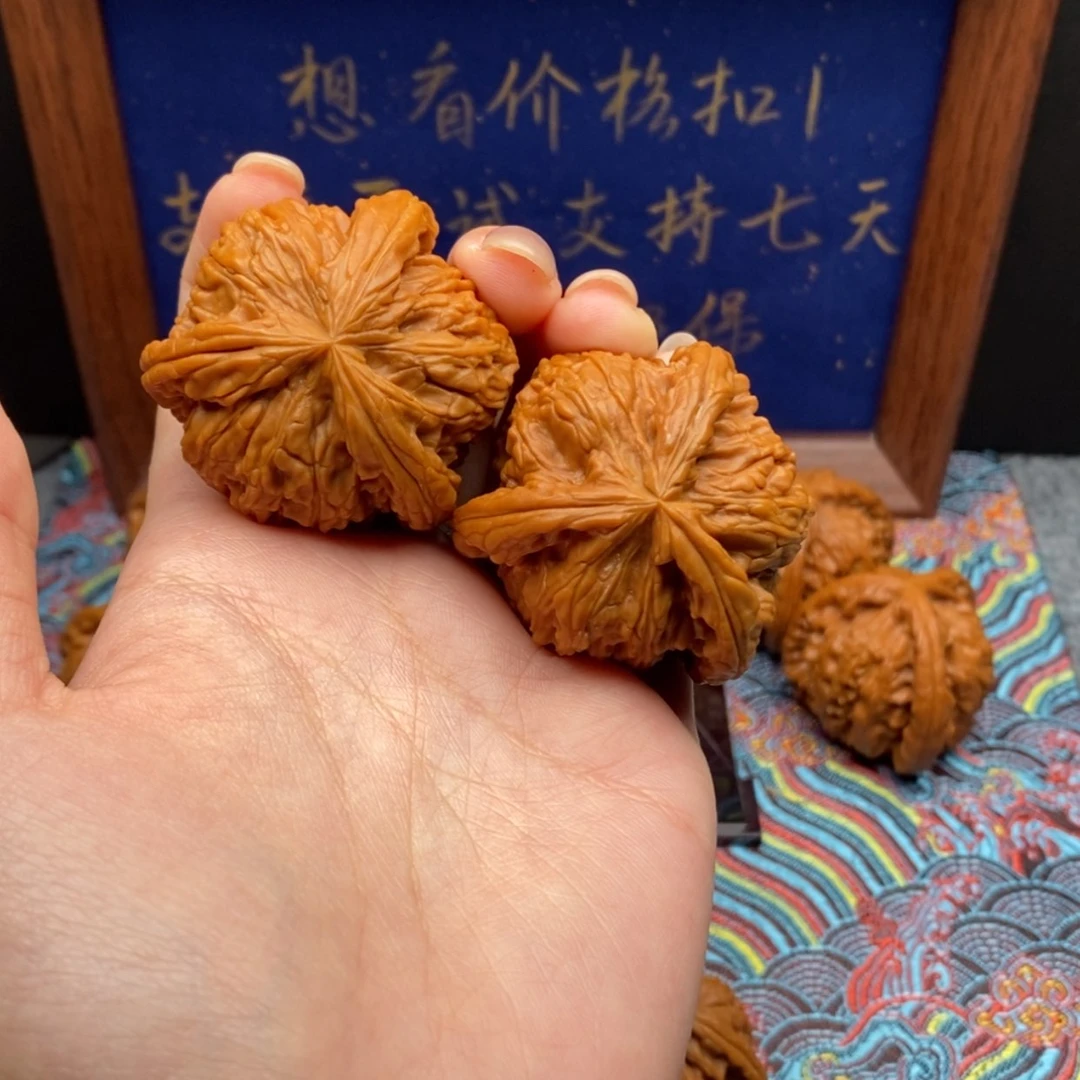 【闪购商品】꒰****꒱白狮