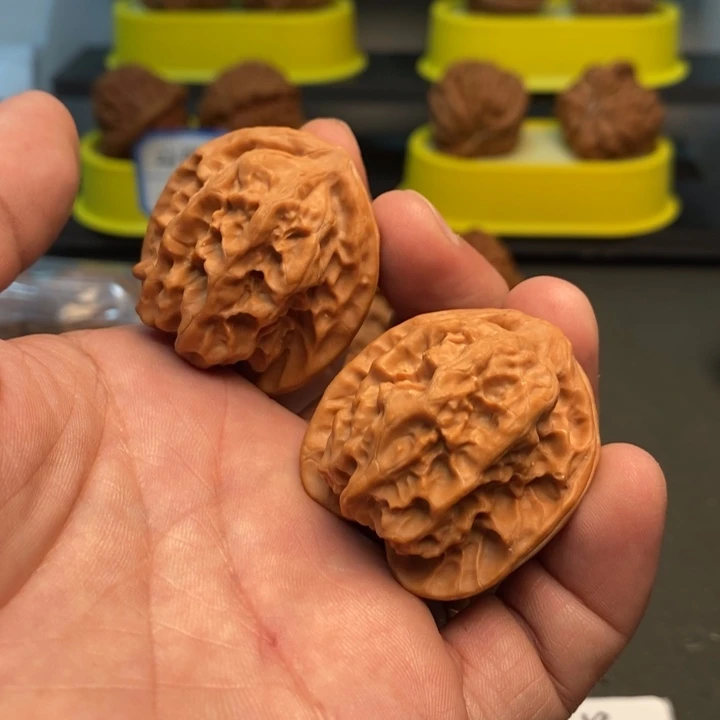 桃核把件于*磐石123456789