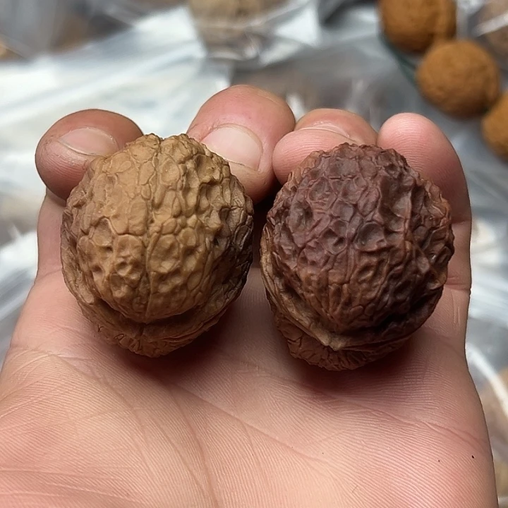 核桃42号七彩叶叉40尺