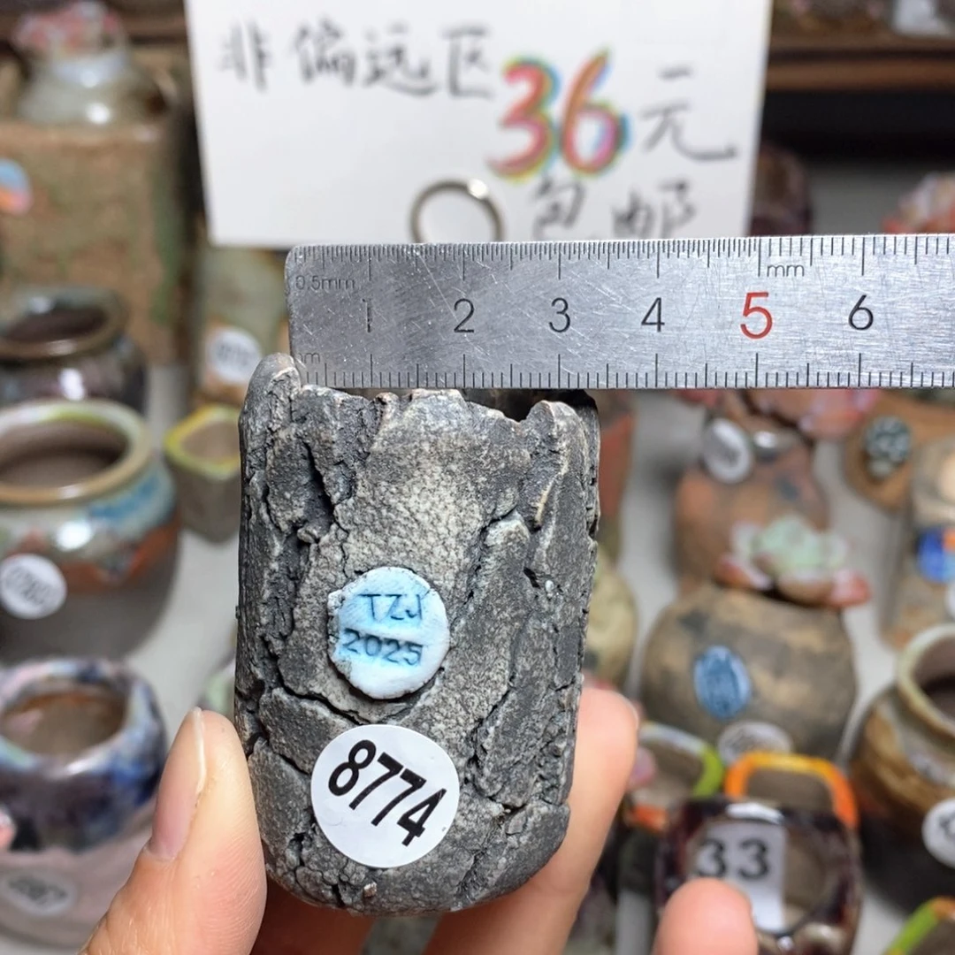 花盆拍3送一个小礼物