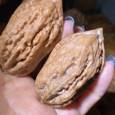把件文玩核桃东北野生楸子小美40