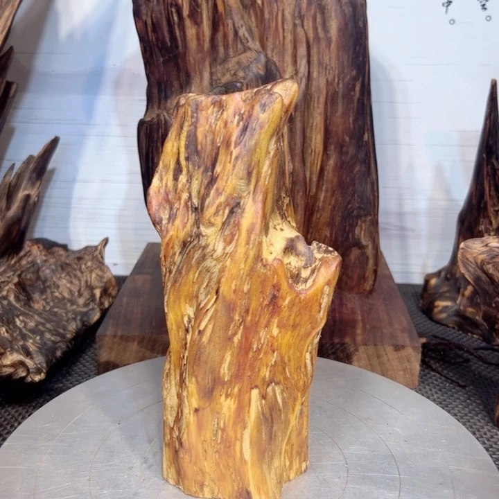 用***6木直播间一物一拍