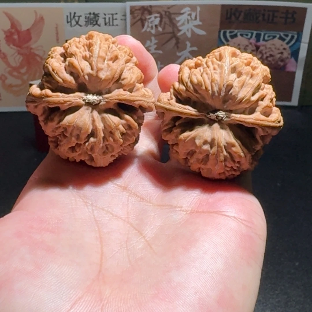 一****大粗筋全品编号651