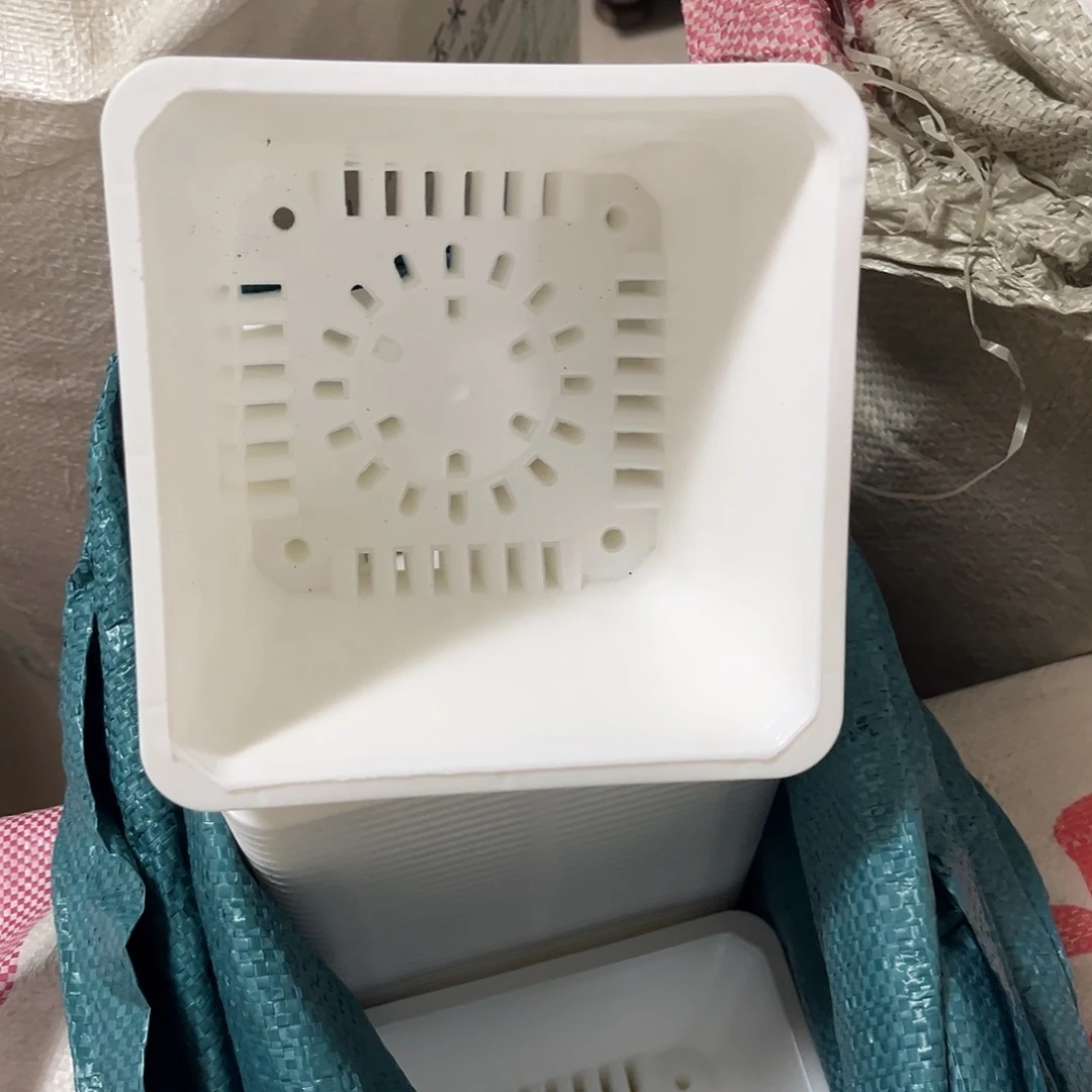 中厚口15高10白盆20个无托