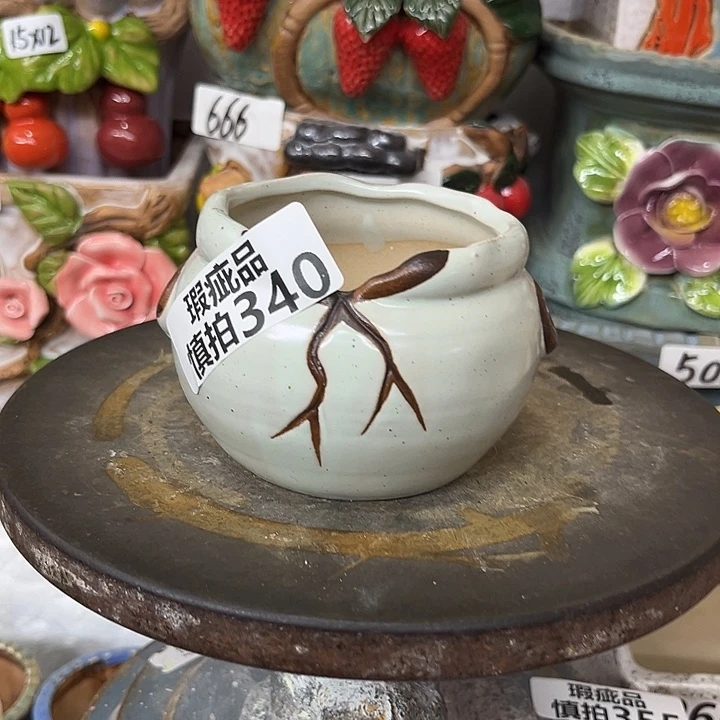 粗陶材质多肉花盆