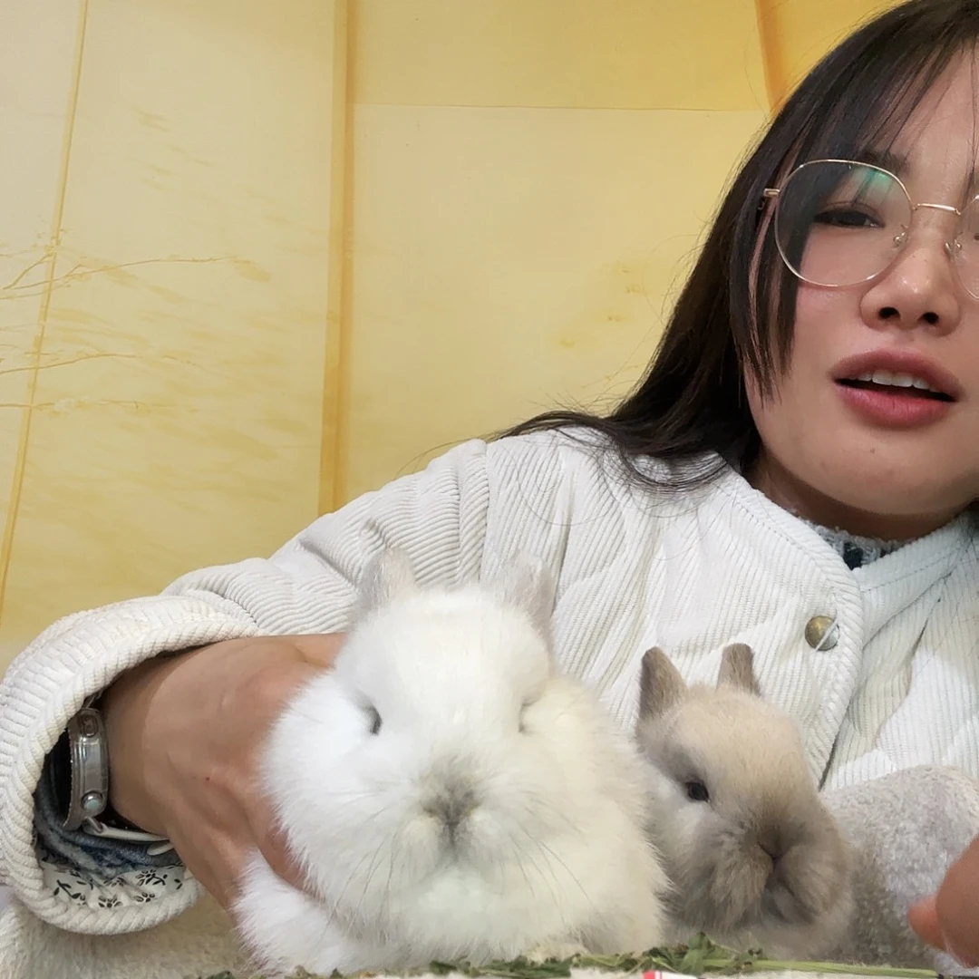 秋***雨侏儒兔弟弟侏儒弟弟的