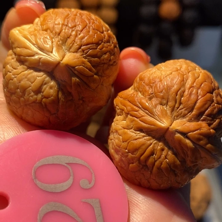 14号链接粗筋大西瓜36尺寸