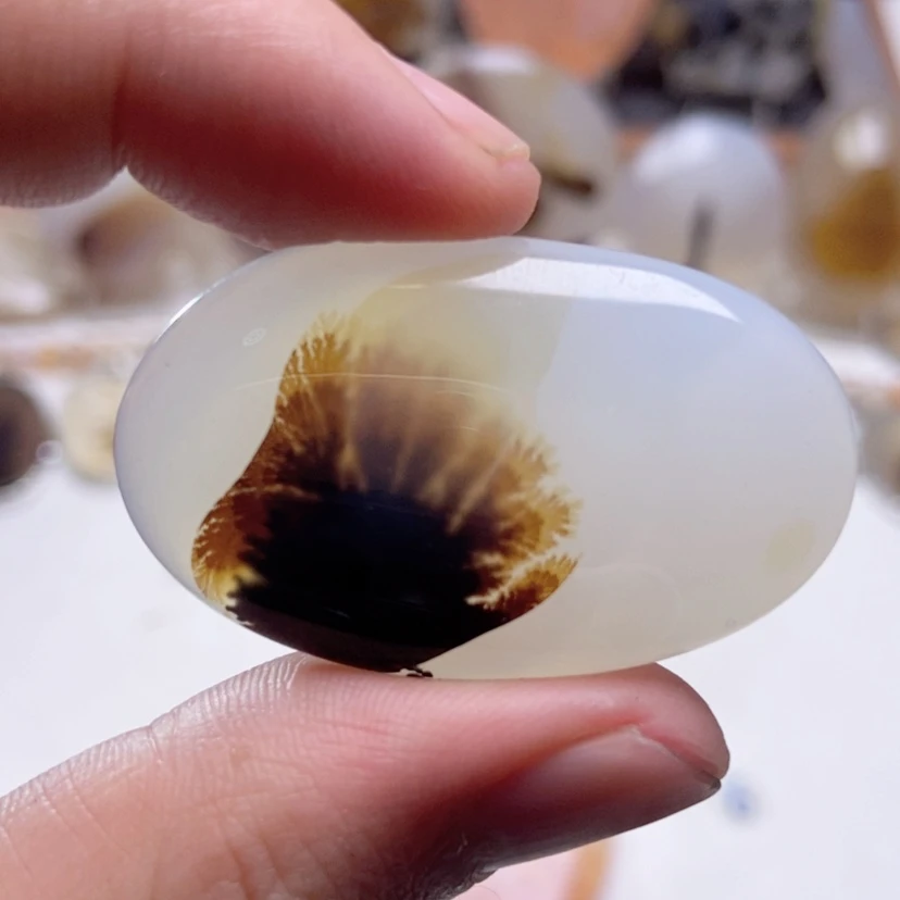 【闪购商品】玛瑙/玉髓颈饰未镶嵌