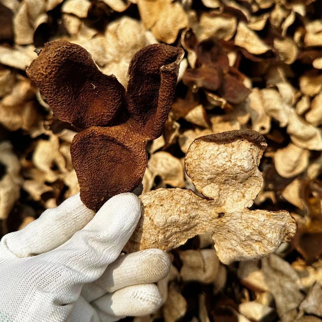 【阿权丁皮】茶21陈化 冬后 权丁 整皮 二刀开 铁罐装