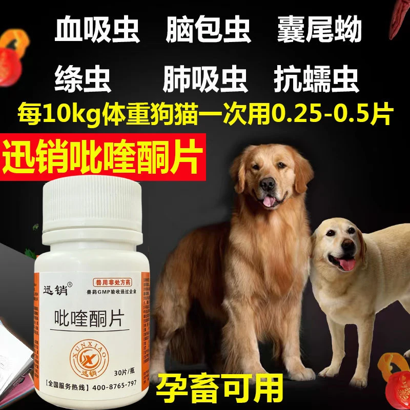 兽药兽用吡喹酮片猪牛羊宠物猫狗驱脑包虫绦虫囊尾蚴驱虫内服药