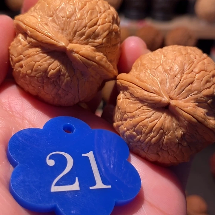 木质类金丝绣球39尺寸