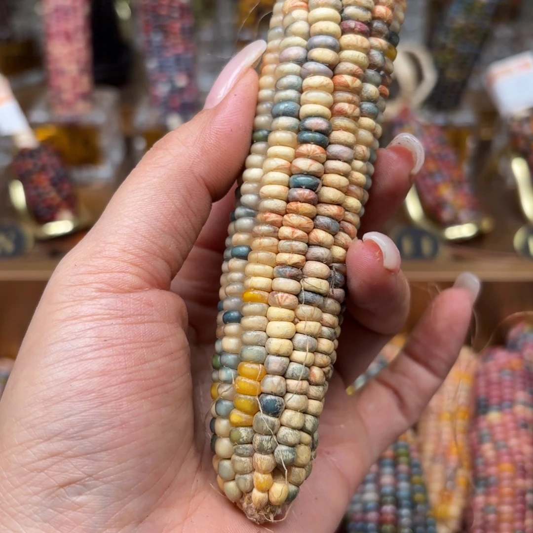 柏香籽/百香籽吊坠七***时