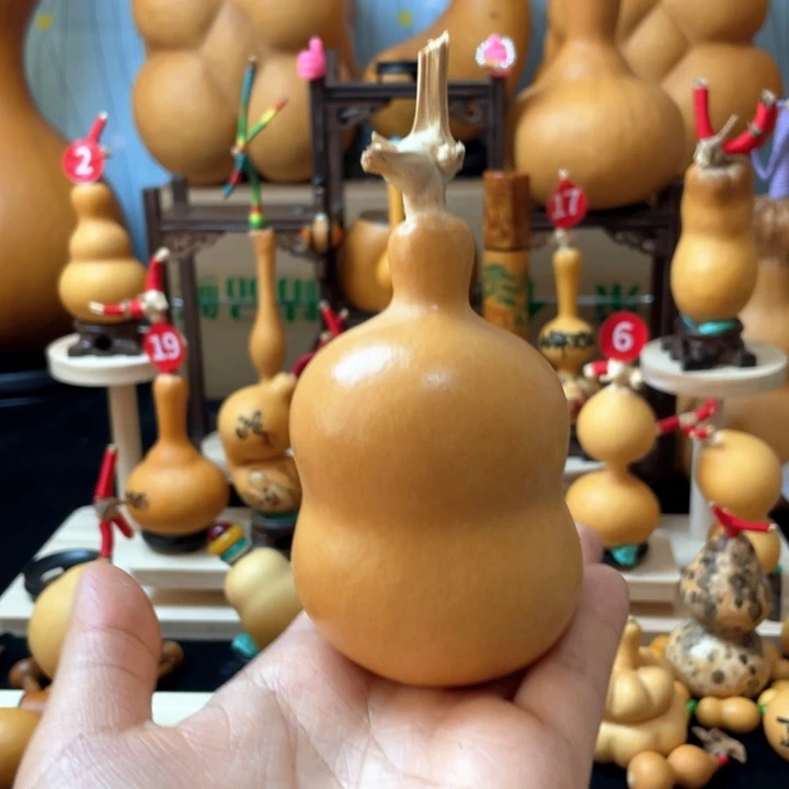 *****葫芦丝和我说话真的超级喜欢