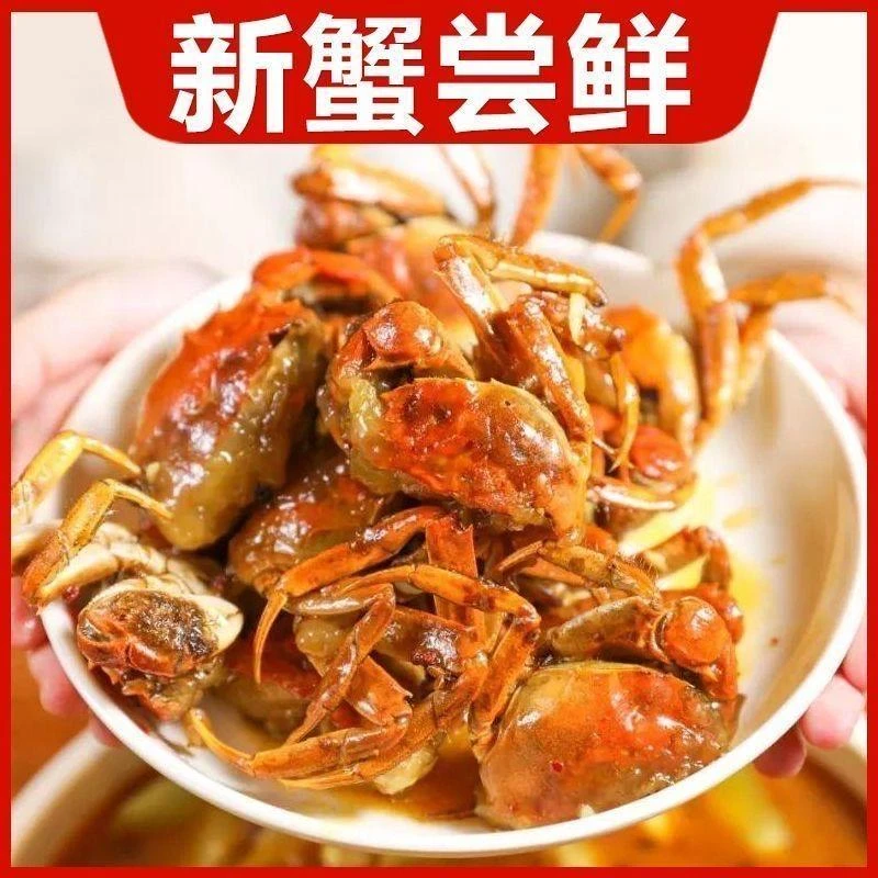 10只纯母蟹1.7-2两以上螃蟹活蟹河蟹鲜活空运发货