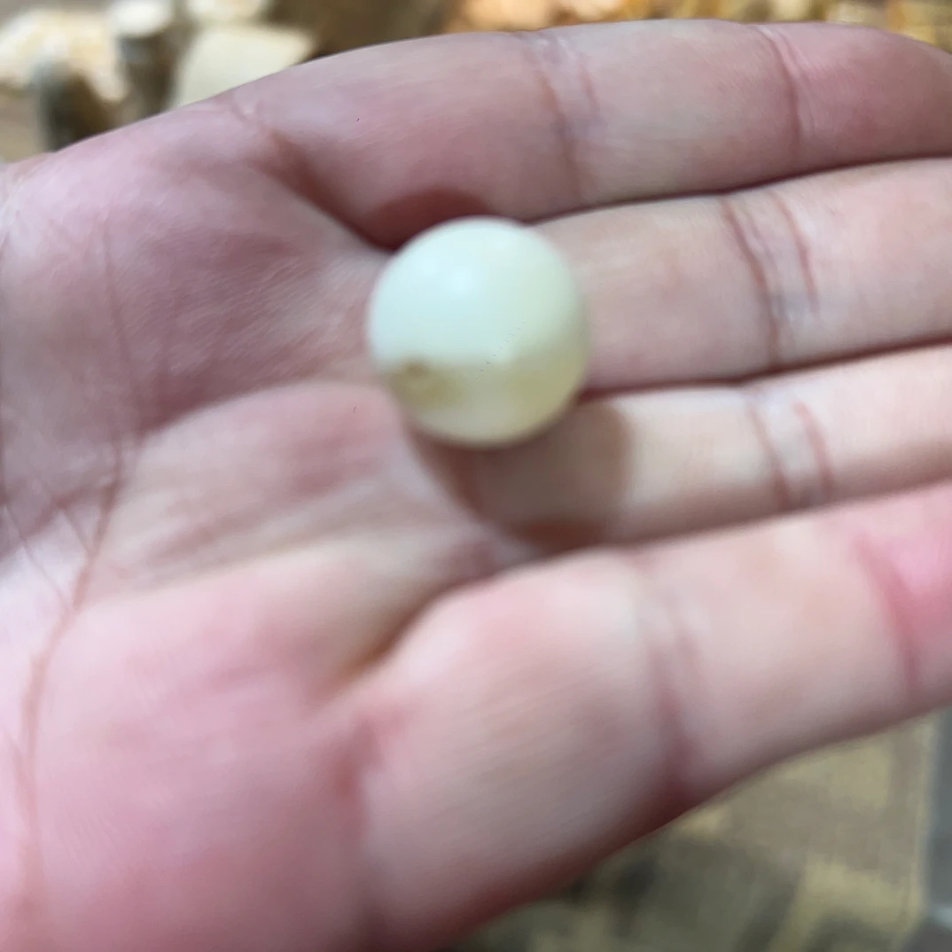 泥塑16单珠把玩单珠