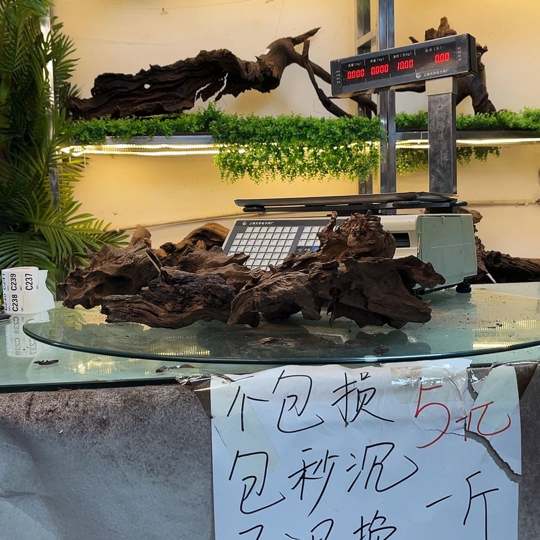 柚木玉***艺沉木鱼缸造景