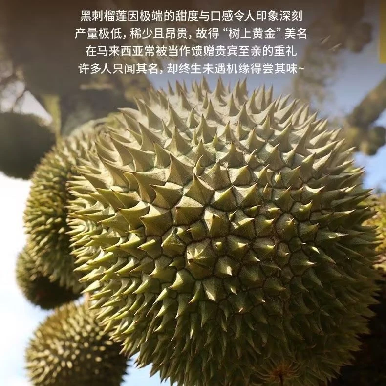 【黑刺D200】马来西亚进口液氮锁鲜榴莲斤核小黑刺马来西亚