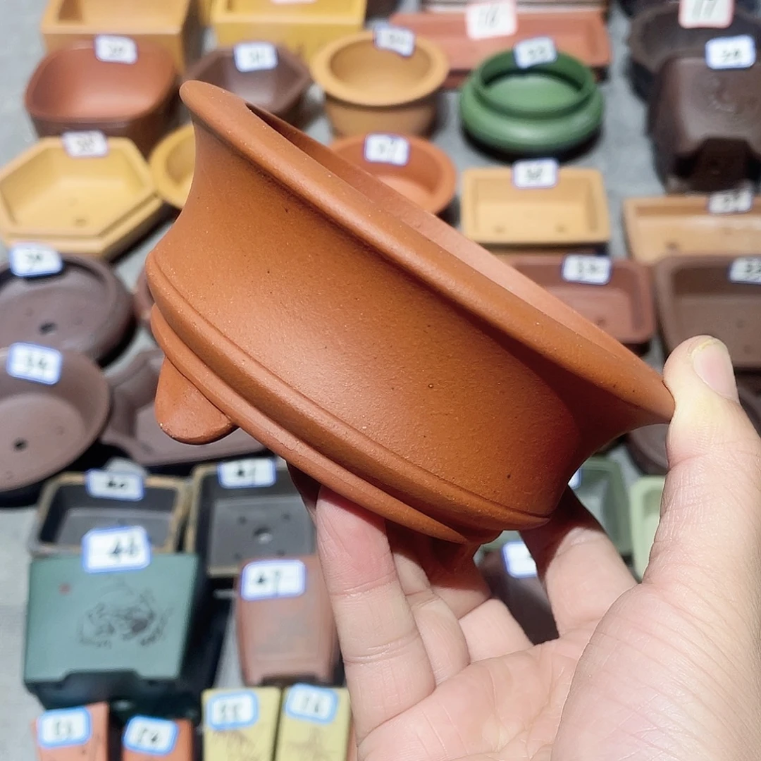 紫砂小盆10.5*4.5cmmm