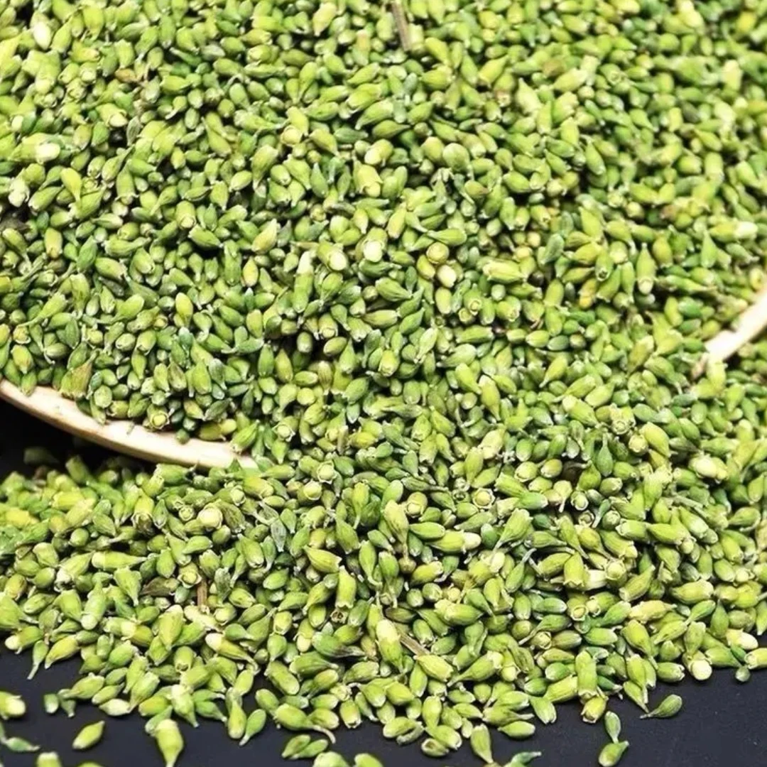 云南核心产区珠子参蕊益身百搭茶珠子参蕊茶