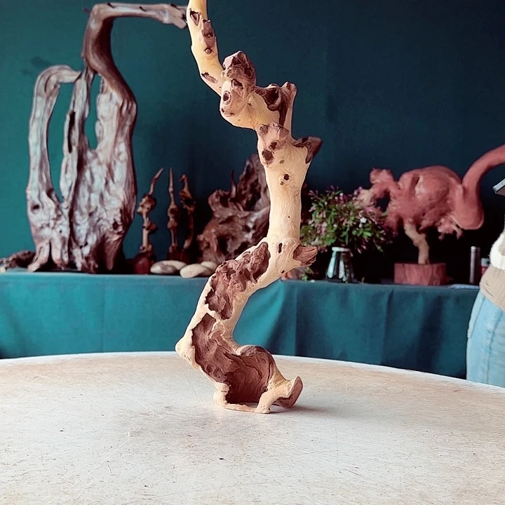 黑果木可**风032金丝红木羊蹄甲半成品