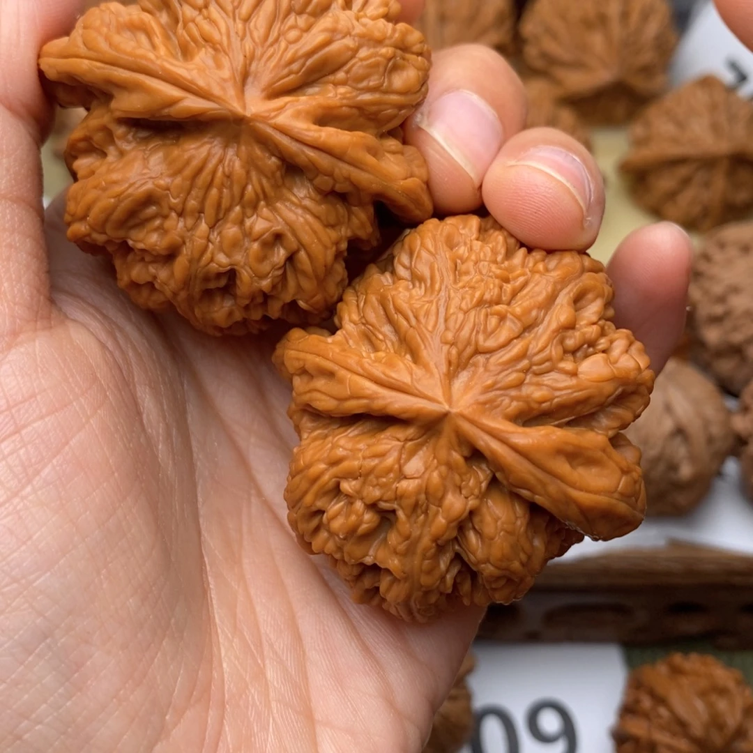 文玩核桃把件635号46全粗筋