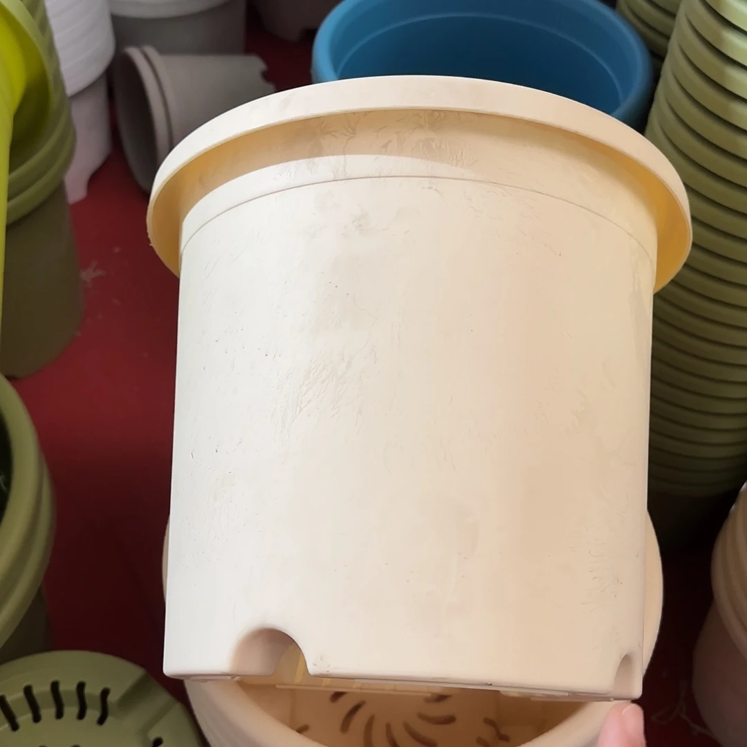 树脂四季5号6个米黄无托