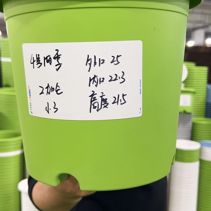 特价4号四季口25高21白色8个无托