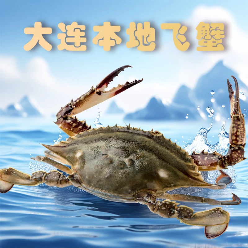 大连本地公梭子蟹【保鲜不保活】2-4只左右/斤，2-7两/只【不保全腿】