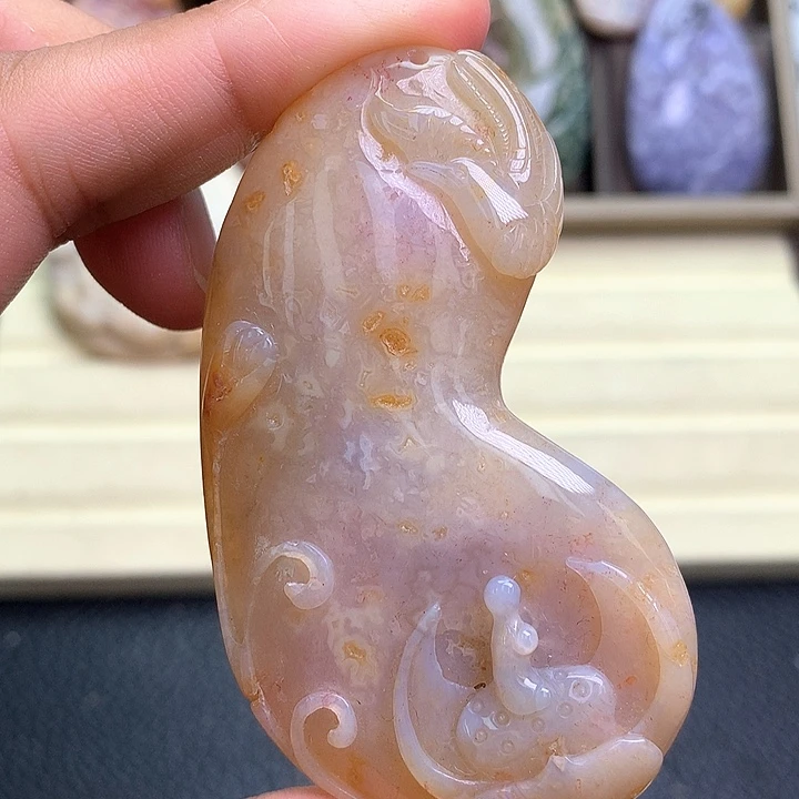 硅化珊瑚（珊瑚玉）未镶嵌颈饰
