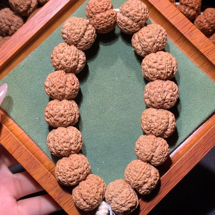 金刚菩提手串22+定制款九龙梅花