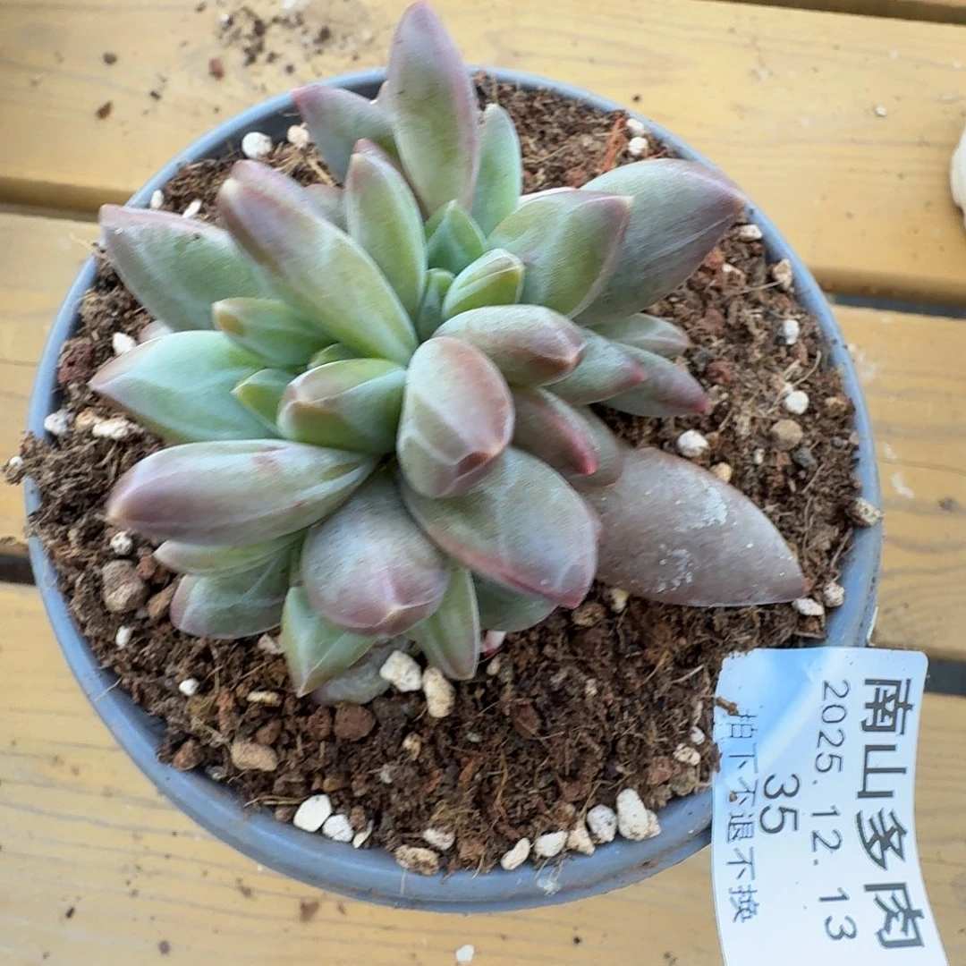 不***孩雪戴丽111111213-35