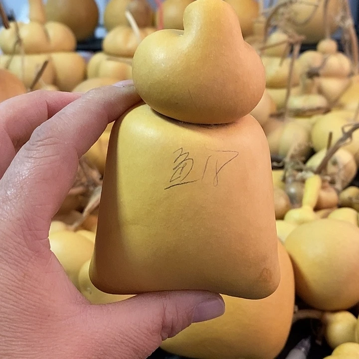 鱼****水葫芦的颜色是蓝色的