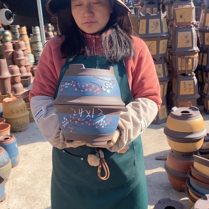 紫砂花盆盆栽花卉苗木种植