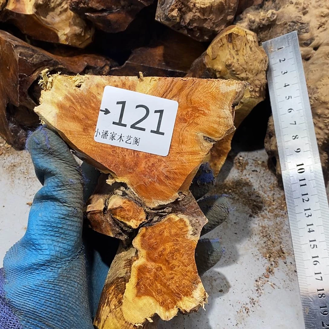 香榧木一*红火琉璃……火琉璃