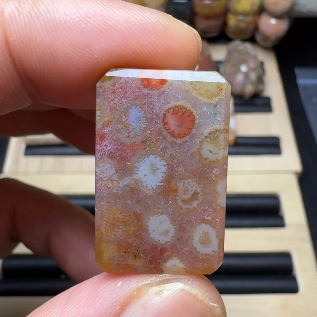 硅化珊瑚（珊瑚玉）未镶嵌纯天然色有机玉石保真色