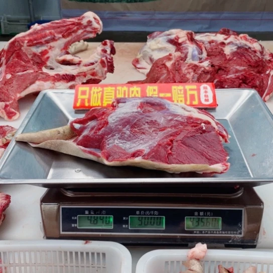 【闪购商品】冷冻保存30天包装河北省