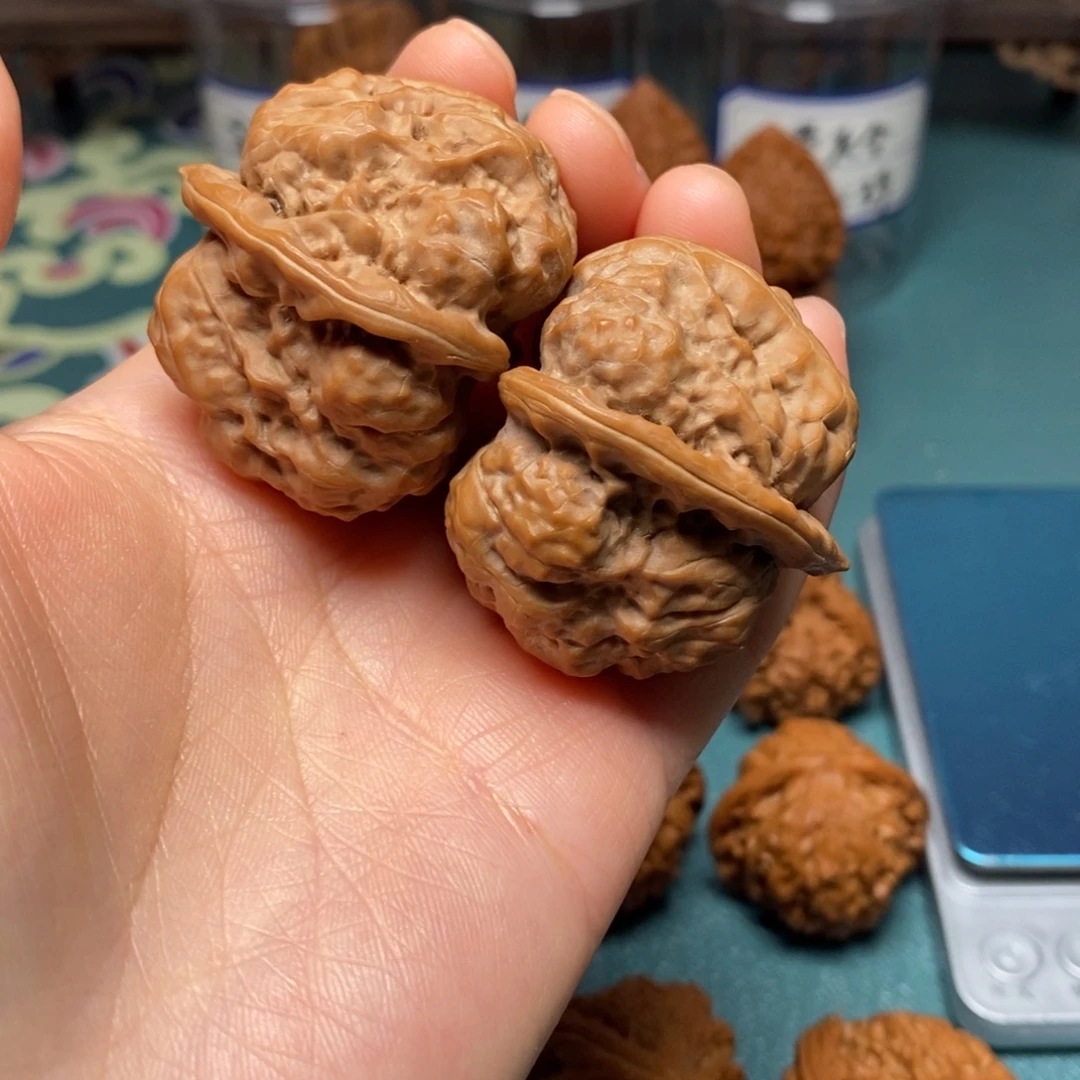 核桃41尺全品蛤蟆头