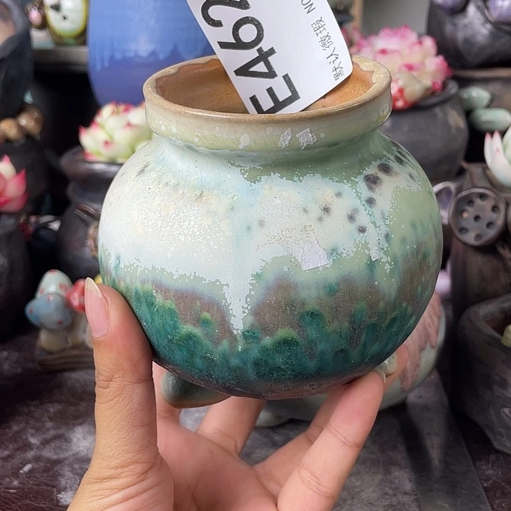 重庆小燕子欢迎大家462