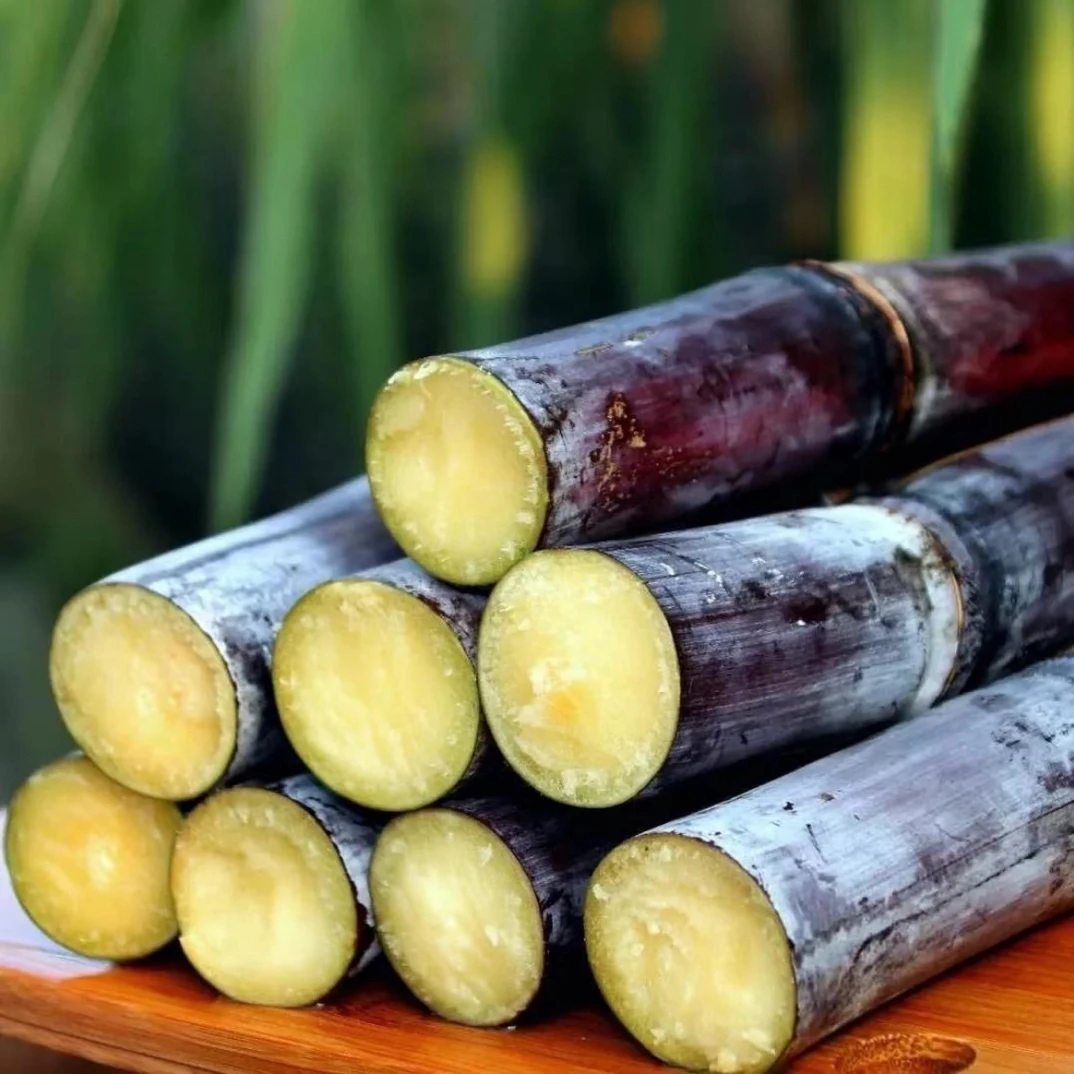 广西黑皮甘蔗应季新鲜水果脆甜多汁源头直供