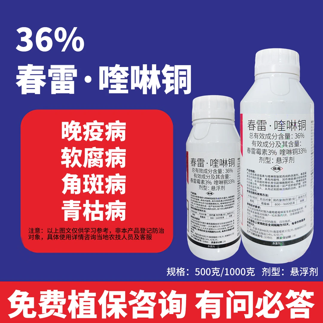 春雷·喹啉铜杀菌豆角番茄辣椒黄瓜葡萄晚疫病软腐病角斑病青枯病