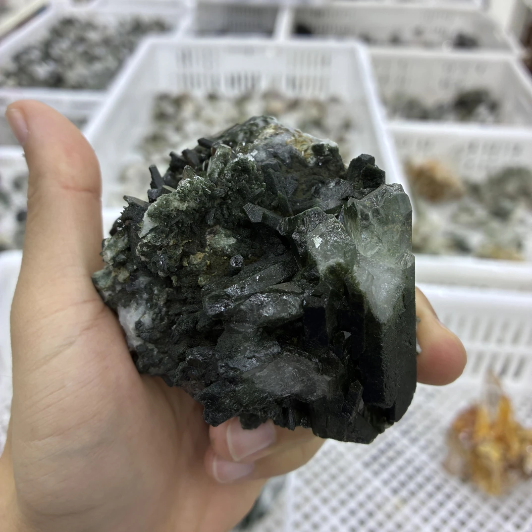 绝美满绿幽创意摆件