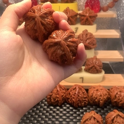 吊坠猴头核桃桥**a白狮子