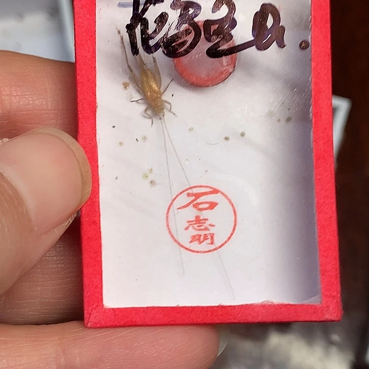 哈哈哈哈哈哈哈哈哈