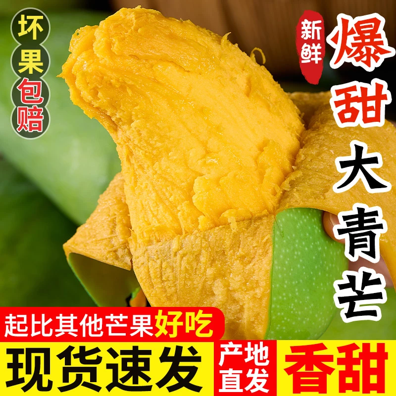 越南大青芒生熟两吃脆甜多汁坏果包赔金煌芒新鲜水果芒果应急鲜果