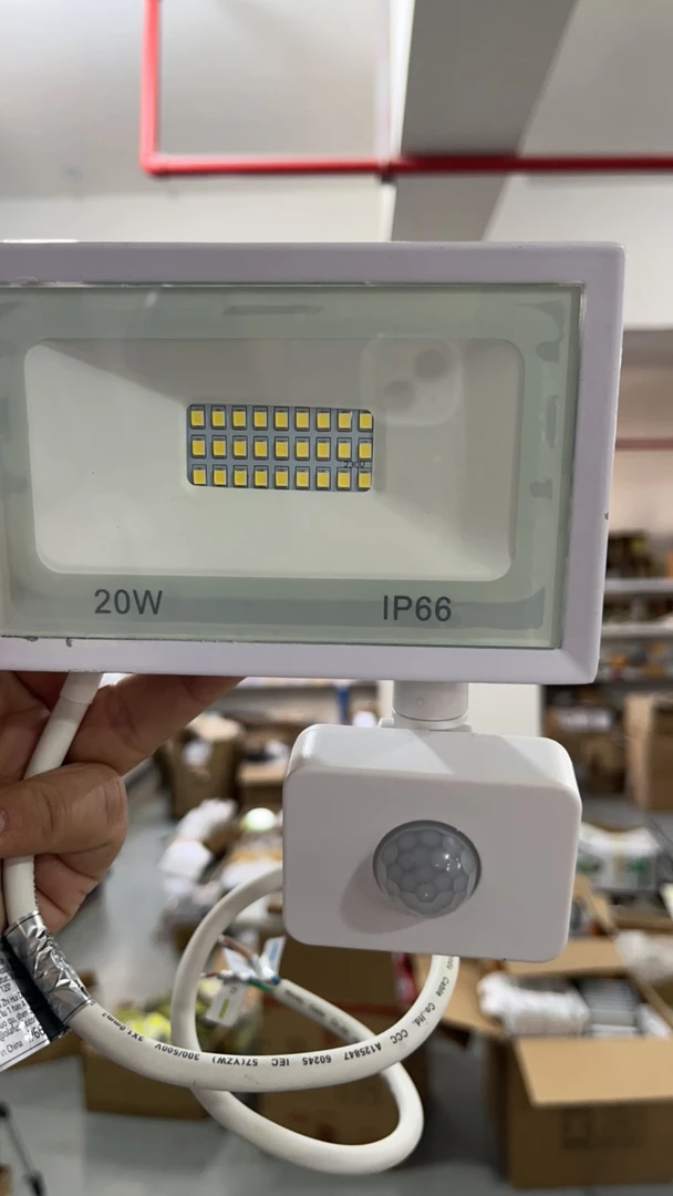 白色20W人体感应庭院灯1个