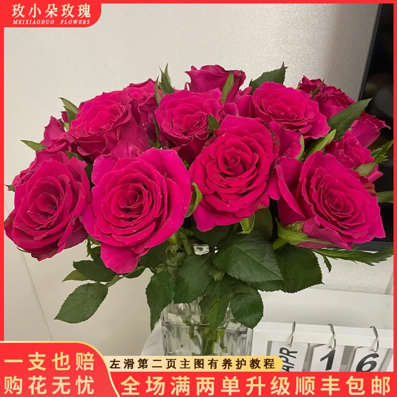 【北方玫小朵玫瑰&高盛】花期持久 产地直发 一单韵达两单顺丰