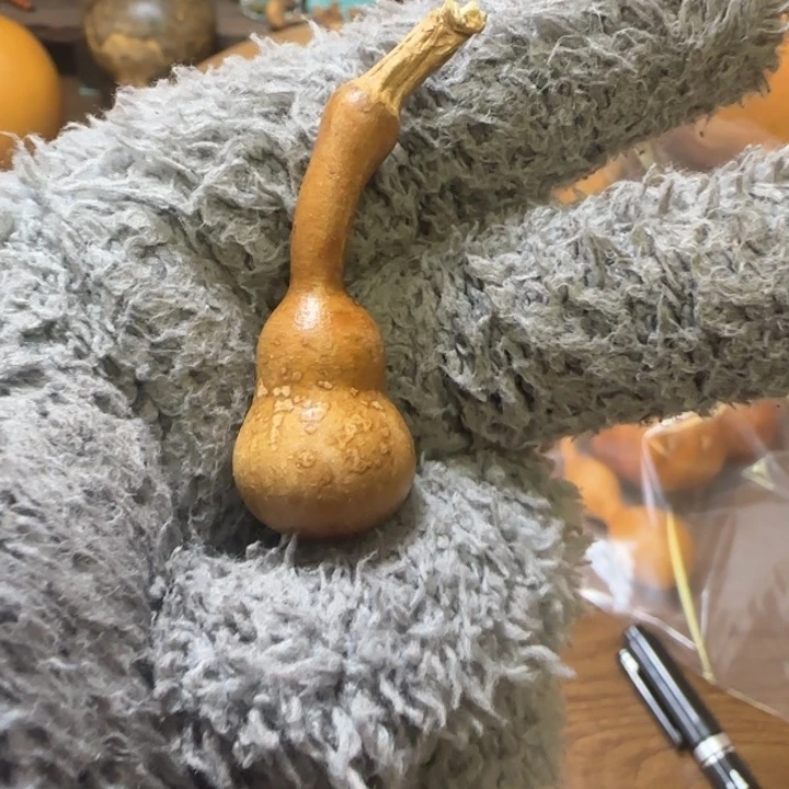 士**檬厚皮小葫芦天然葫芦葫芦葫芦葫芦