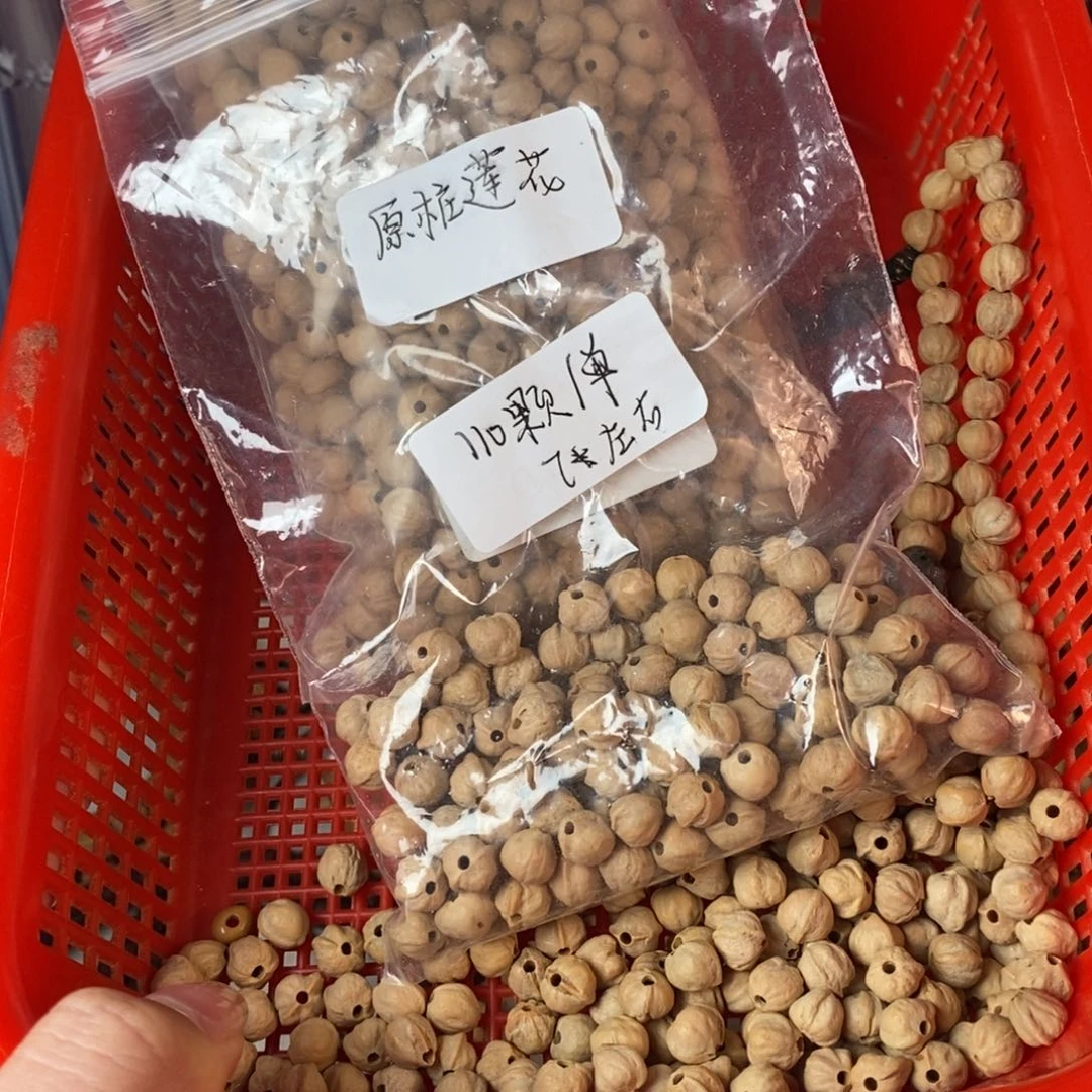 吊坠柏香籽/百香籽50