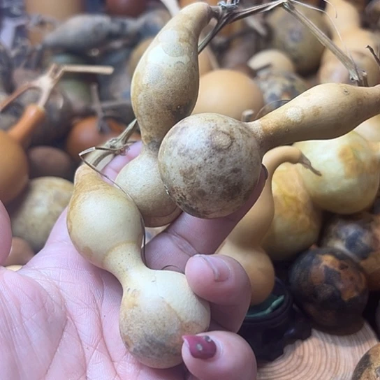 豆****呼葫芦葫芦葫芦葫芦